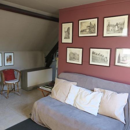 B&B / Studio De Druivelaar In Hartje Kluisbergen Екстериор снимка