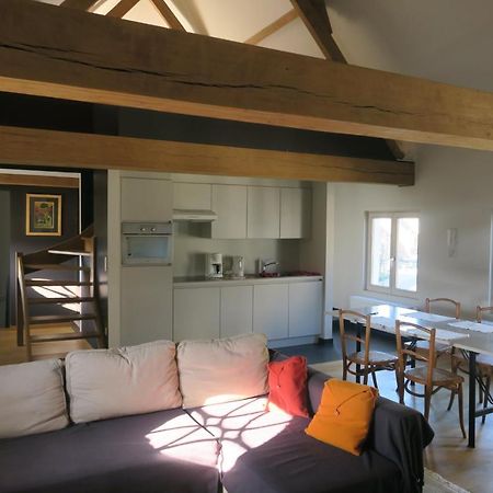 B&B / Studio De Druivelaar In Hartje Kluisbergen Екстериор снимка