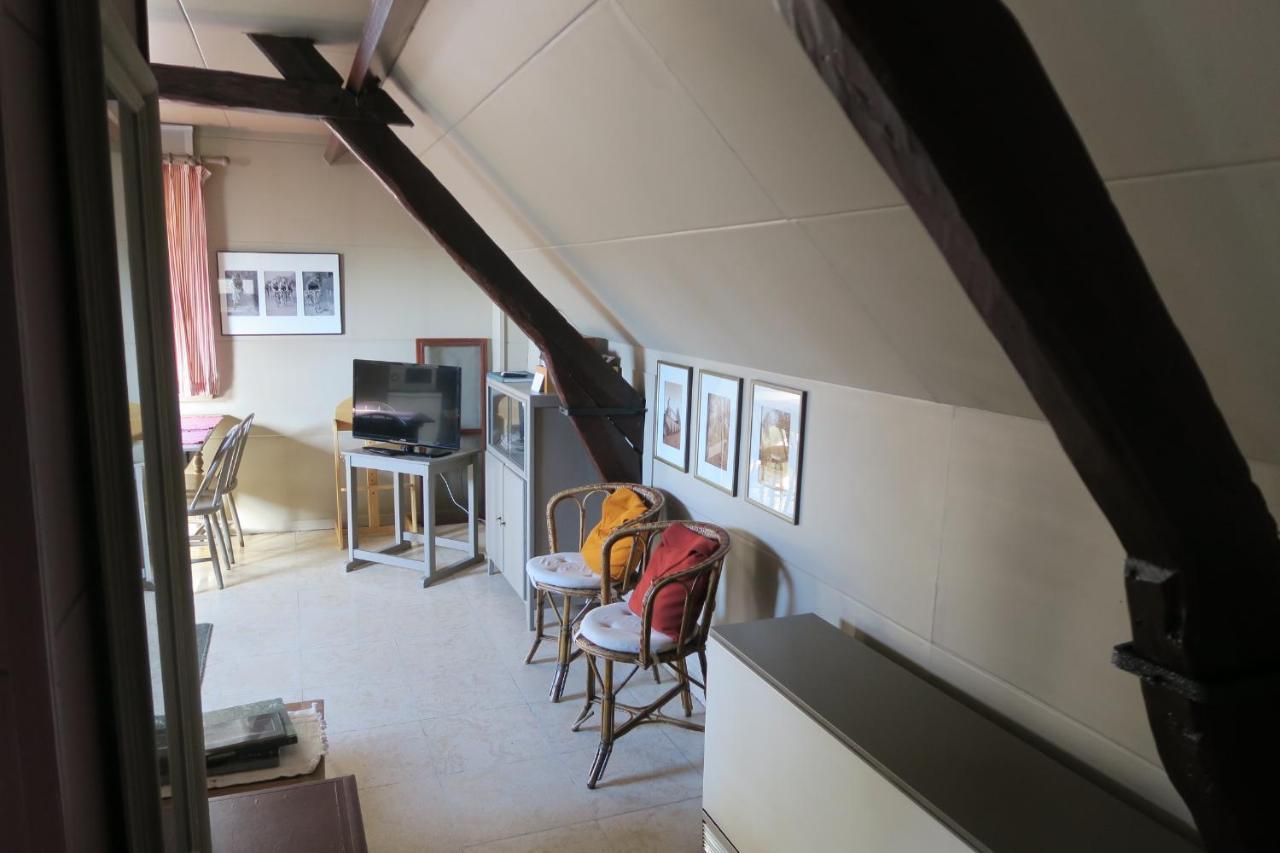 B&B / Studio De Druivelaar In Hartje Kluisbergen Екстериор снимка