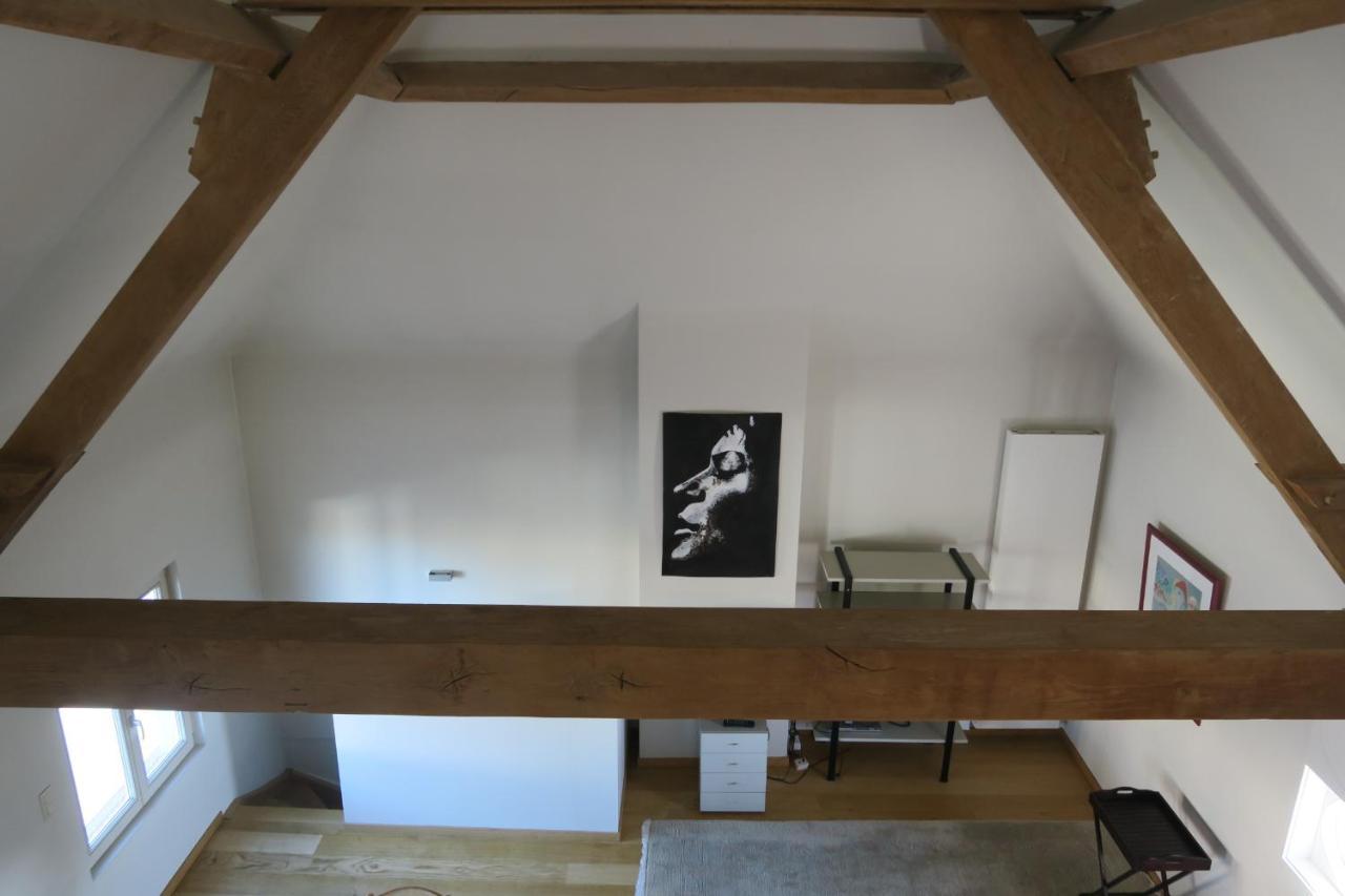 B&B / Studio De Druivelaar In Hartje Kluisbergen Екстериор снимка